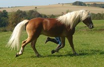 Dsc 02524